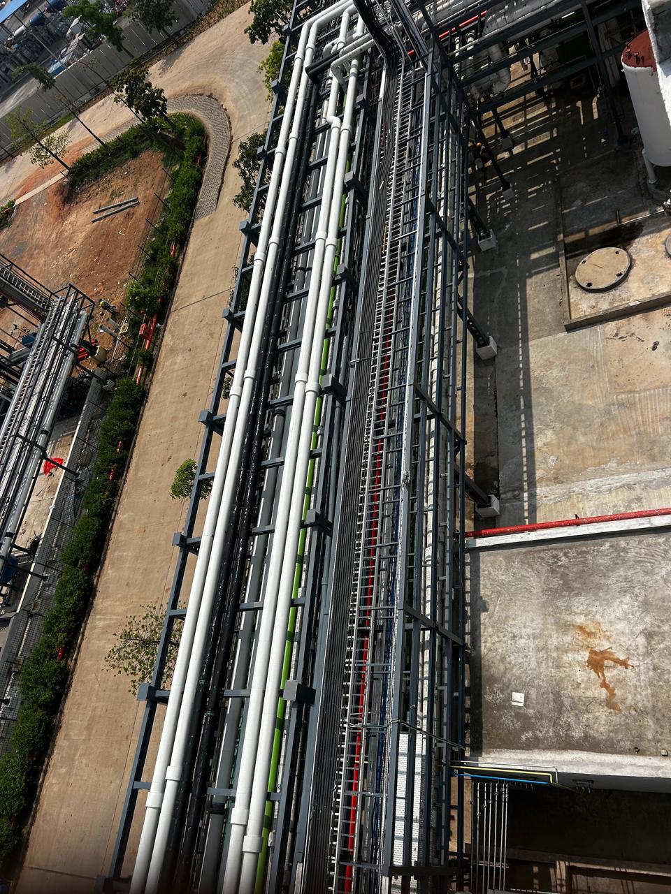 WhatsApp Image 2025-10-24 at 10.05.58 (1)